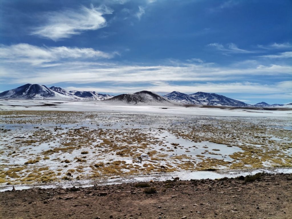 Primera capacitación Observatorio Salar de Atacama Instituto